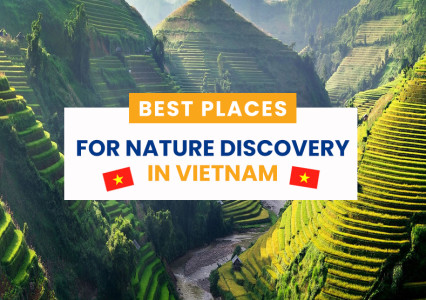 Best Places for Nature Discovery in Vietnam