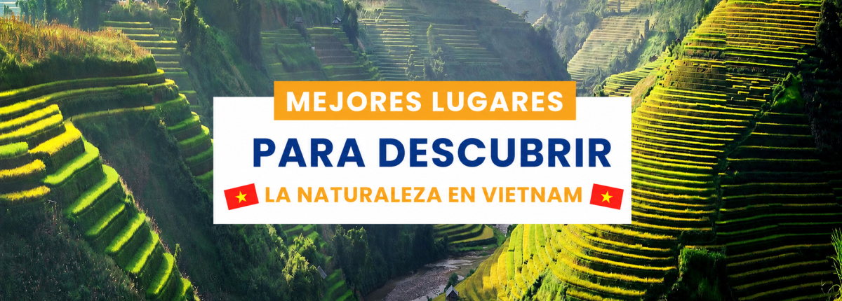 Mejores lugares para el descubrimiento de la naturaleza en Vietnam