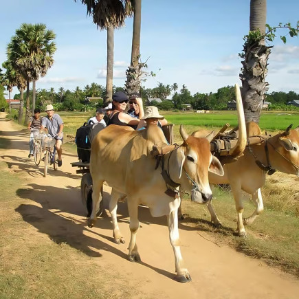 KOH TRONG EXCURSION TOURS BY BIKING