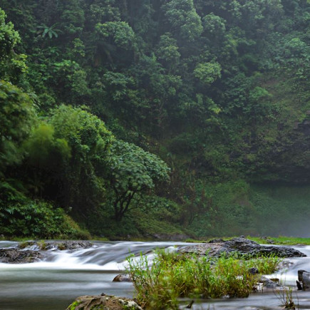 PAK OU CAVES & KUANG SI WATERFALL
