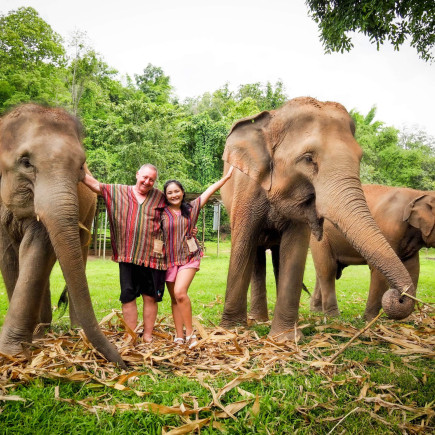 PROGRAM ELEPHANT JUNGLE SANCTUARY HALF DAY TOUR + DOI SUTHEP TOUR