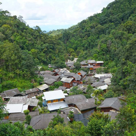 CHIANG MAI – MAE KAMPONG – CHIANG MAI 