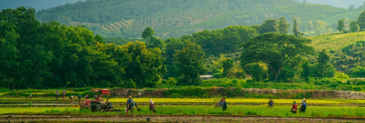 Truly Northern Thailand 10 days 9 nights