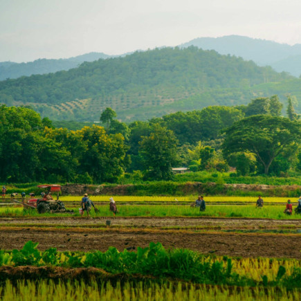 ARRIVAL IN CHIANG RAI