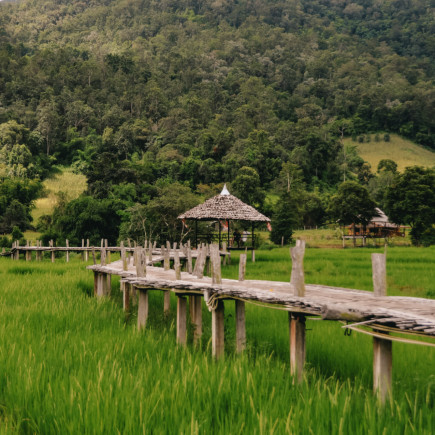 CHIANG MAI – PAI 