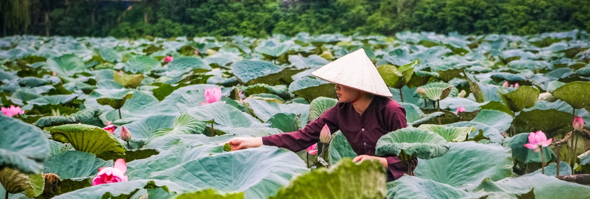 Private Vietnam 21 Days 20 Nights - With Join Group Day Tours at Destination
