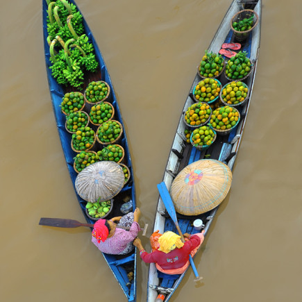 SAI GON - MEKONG DELTA DAY TOUR