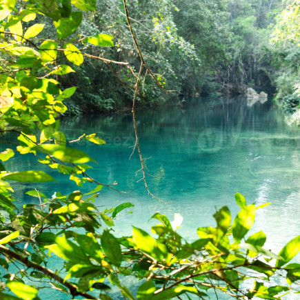 MEO VAC TO PAC BO & CAO BANG