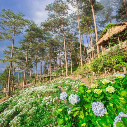 MUI NE - DA LAT TRANSFER