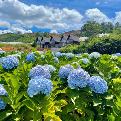 Private Vietnam 20 Days 19 Nights - Vietnam Vibes