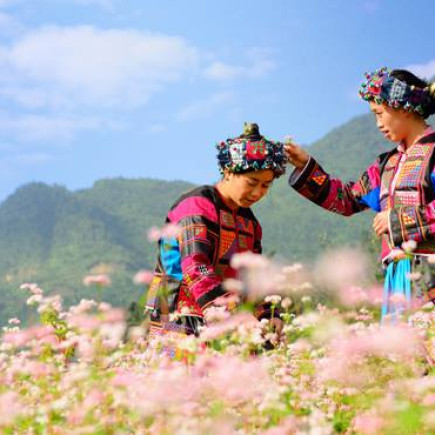 HA NOI - HA GIANG CITY (GROUP TOUR)