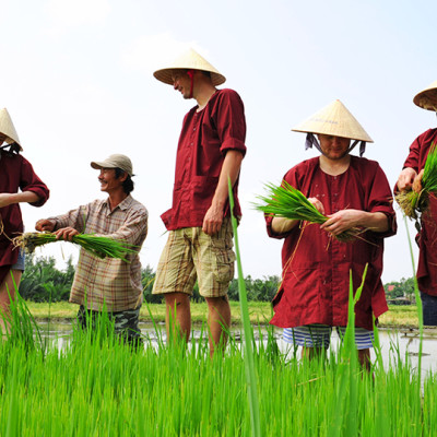 SCHOOL TOUR 1 - CURRICULUM TOURS