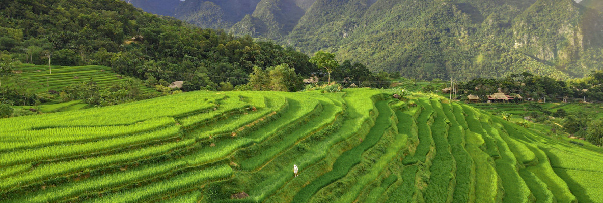 Private Vietnam 22 Days - Vietnam Culinary Journey - With Join Group Day Tours at Destination