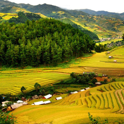 MAI CHAU TREKKING HALF DAY