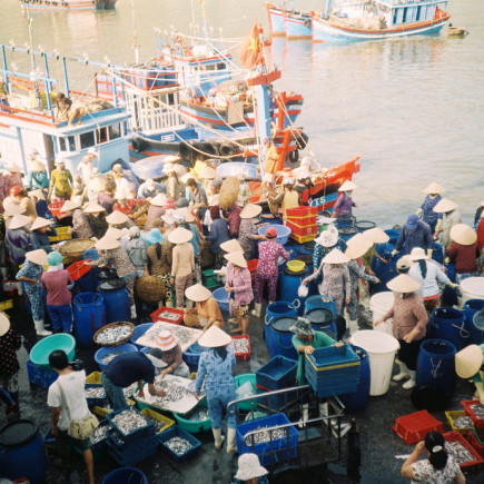 VINH TRUONG FISH MARKET – FLY TO SAIGON – WALKING TOUR