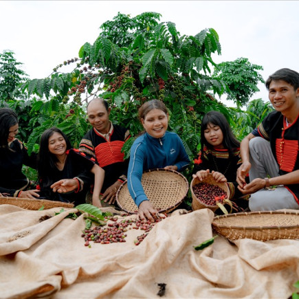 BAN ME THUOT - EKAMAT INSTITUTE - CIVET COFFEE - COFFEE PLANTATION