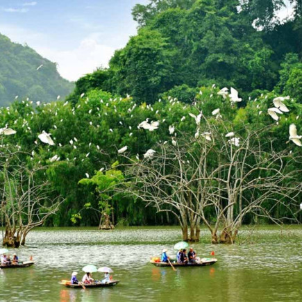 HA NOI - NINH BINH - HOA LU - THUNG NHAM - BIRD VILLAGE FULL DAY TOUR