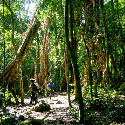 HO CHI MINH - CAT TIEN NATIONAL PARK