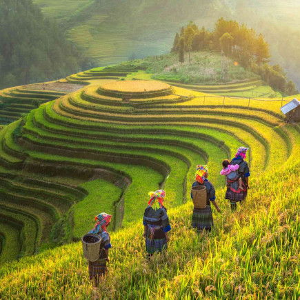 SAPA TREKKING - Y LINH HO - LAO CHAI - TA VAN