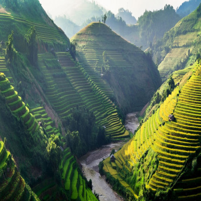 Private Vietnam 34 Days 33 Nights - The Infinite S-Curve