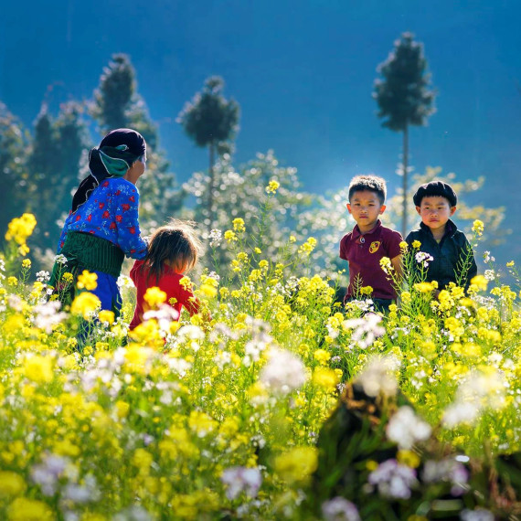 Multi Country Packages