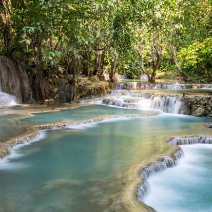 RICE IS LIFE EXPERIENCE / LIVING LAND FARM & KUANG SI WATERFALL
