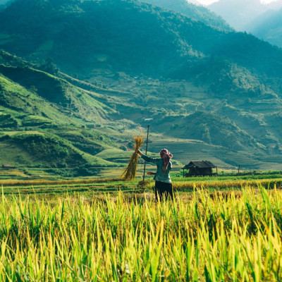 Private Vietnam 15 Days 14 Nights_Major Vietnam