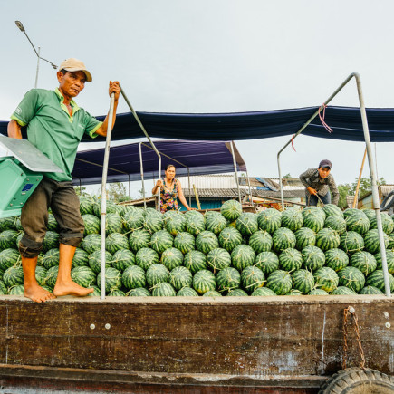 MEKONG DELTA FULL DAY - CAN THO