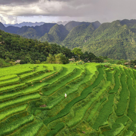 MAI CHAU  - HALF DAY TOUR
