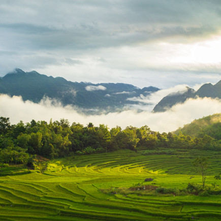 MAI CHAU HALF DAY TOUR – HA NOI