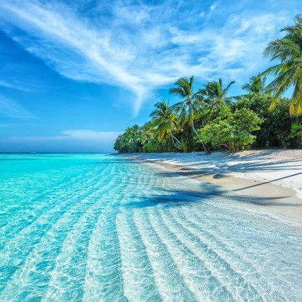 NHA TRANG – FREE DAY