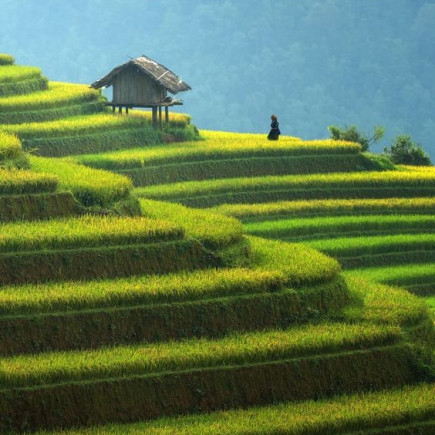 LAO CAI - SA PA - LAO CHAI & TA VAN