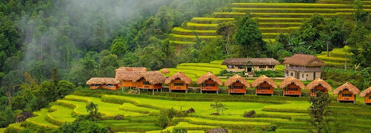 Seasonal Beauty on a Luxury Ha Giang Loop Tour