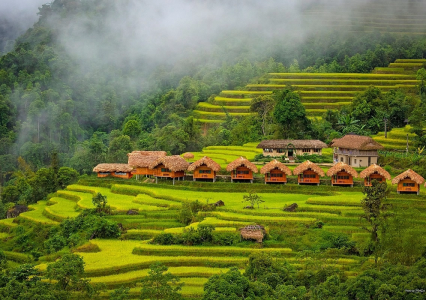 Seasonal Beauty on a Luxury Ha Giang Loop Tour