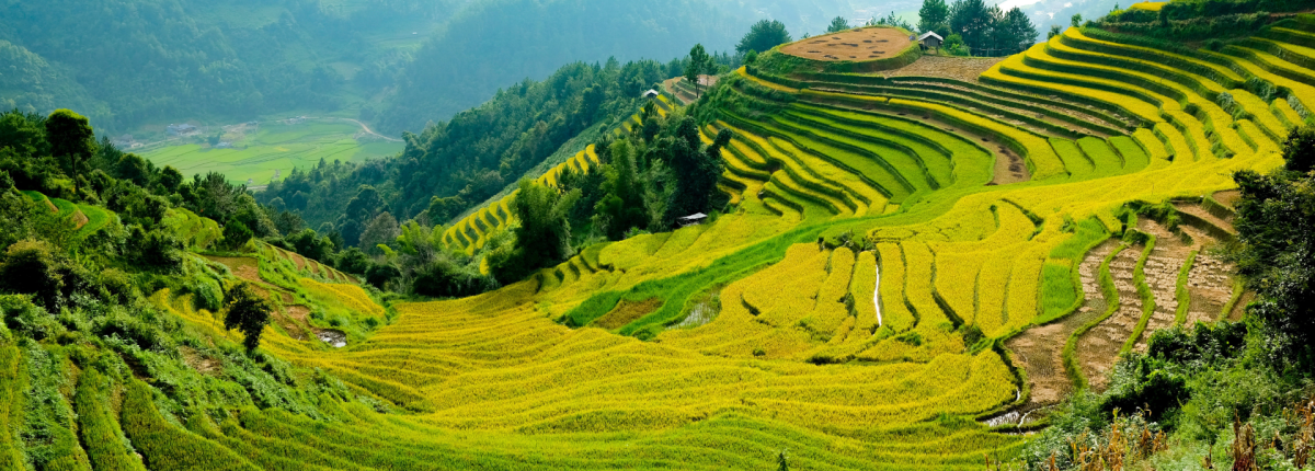 Best Winter Destinations in Asia for a Warm and Peaceful Escape