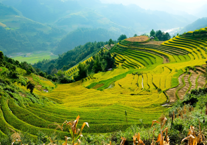 Best Winter Destinations in Asia for a Warm and Peaceful Escape