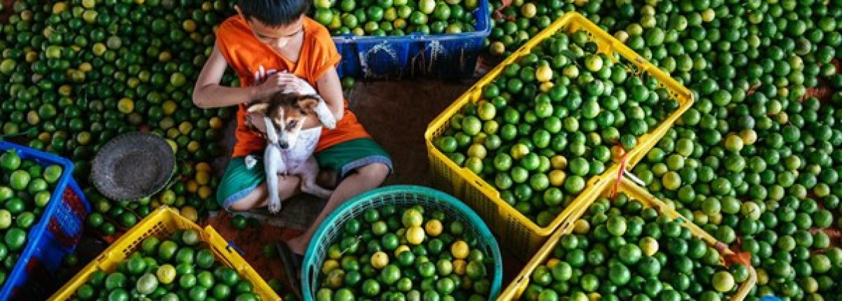 Luxury Mekong delta tours – premium cultural & river experiences in Southern Vietnam