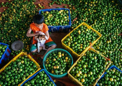 Luxury Mekong delta tours – premium cultural & river experiences in Southern Vietnam