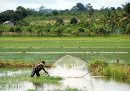 Tailor-made Cambodia culture and photography tour – authentic travel experience