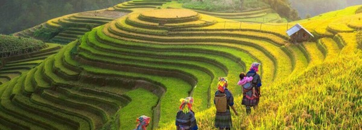 Vietnam Photography Tour – Capture the Soul and Beauty of Vietnam