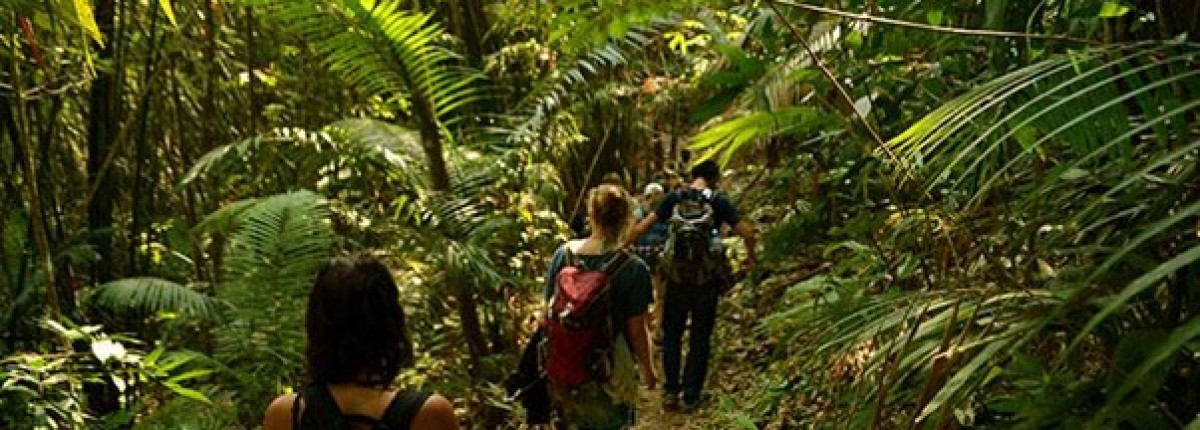 Laos mountain trekking tour – authentic hill tribe adventures await