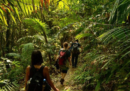 Laos mountain trekking tour – authentic hill tribe adventures await