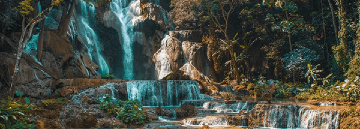 Capture the beauty of nature and explore a wonderful Laos private photography and nature trip
