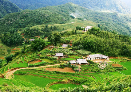 Sapa trekking tour private for cloud-chasing journey