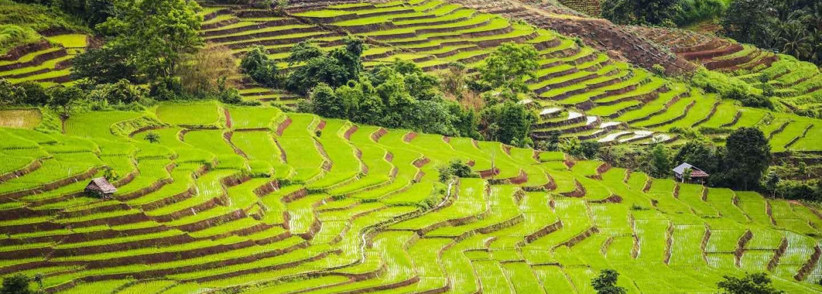 Thailand slow travel cultural journey for deeper connections