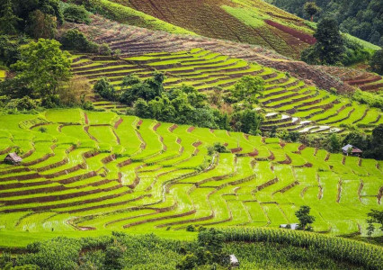 Viaje cultural de slow travel por Tailandia para conexiones más profundas