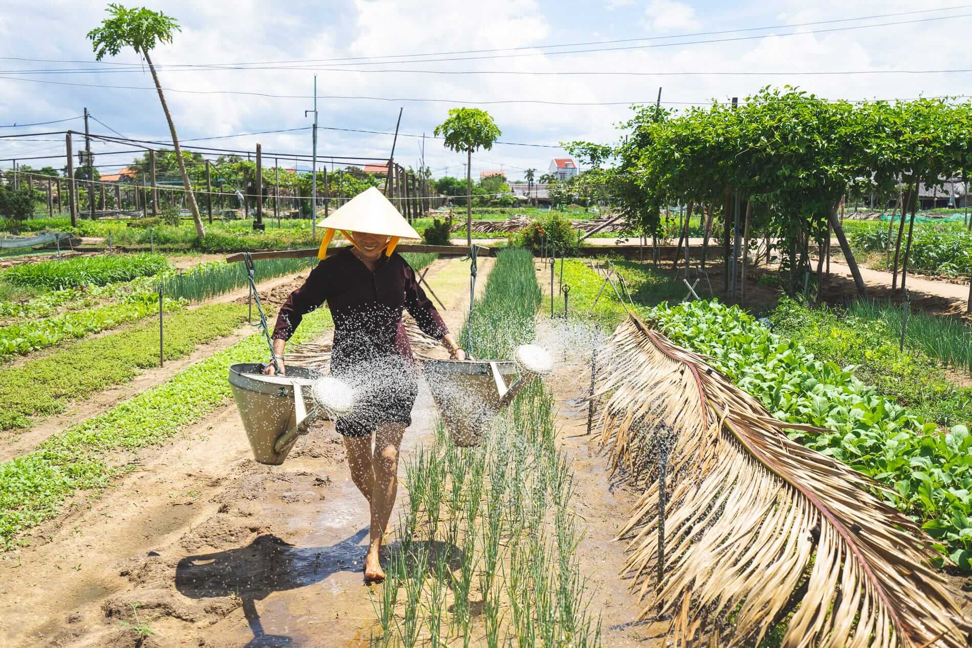 watering-the-plants.jpg (359 KB)