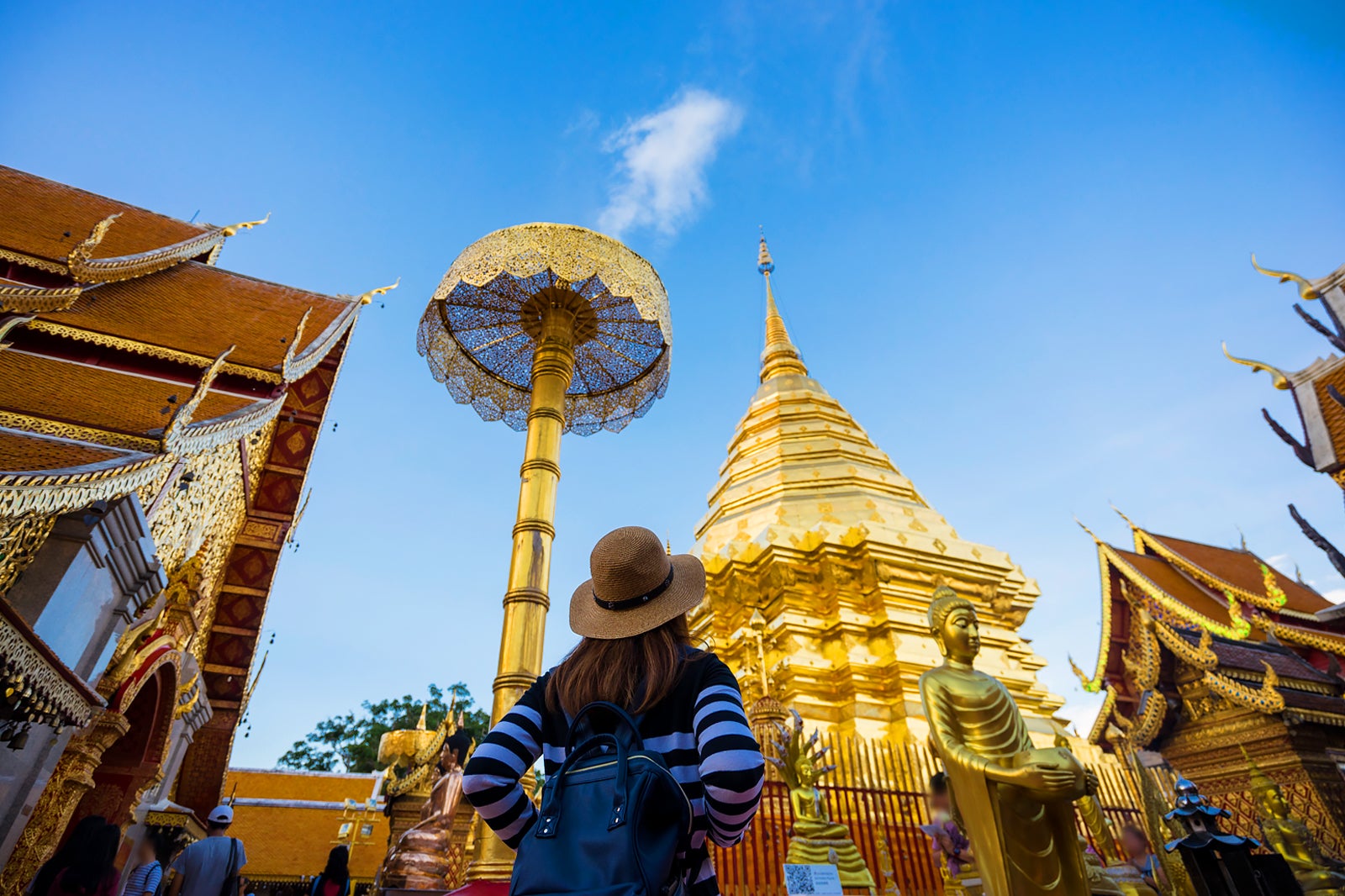 Chiangmai-3.jpeg (307 KB)