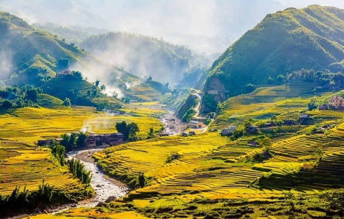 Golden terraced rice fields in Sa Pa valley surrounded by misty mountains and ethnic villages