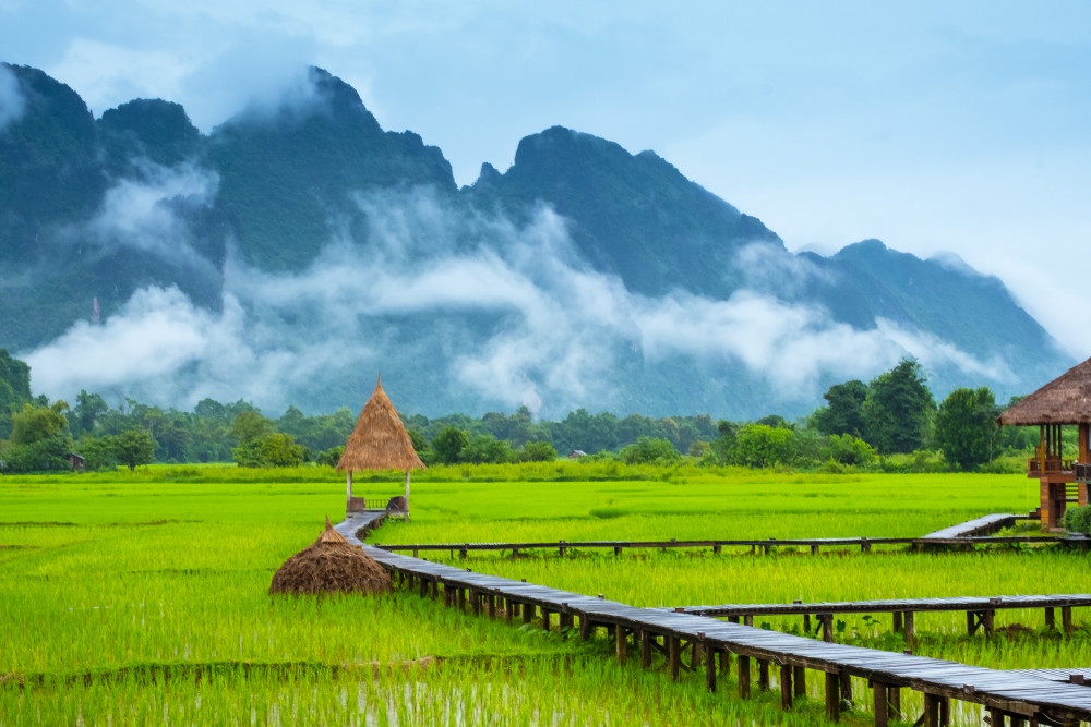 laos-private-photography-and-nature-trip-for-passionate-travelers3.png (949 KB)